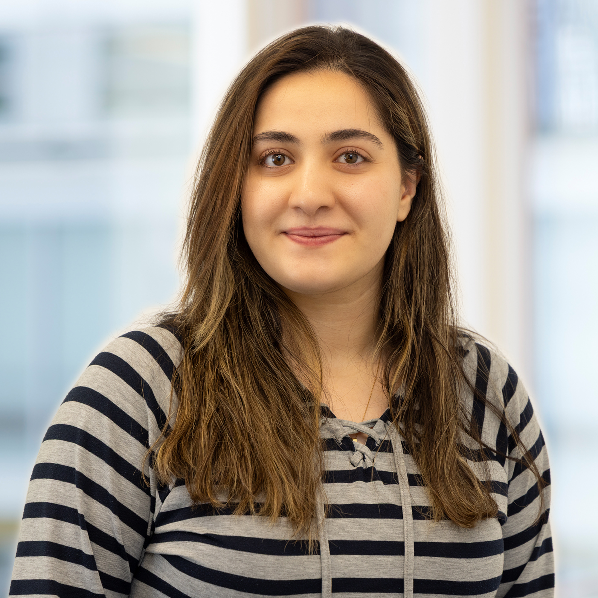  Maham Novin, M.Sc.